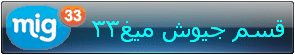 جيوش ميغ33